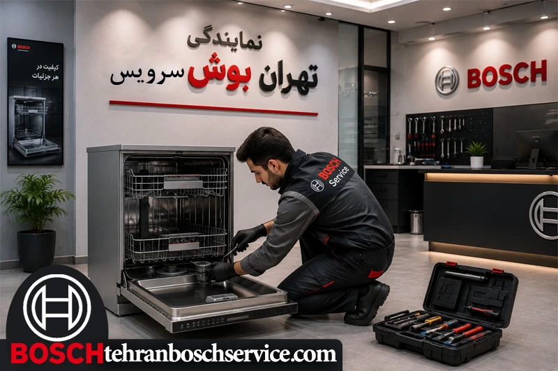 رفع ارور E24 بوش